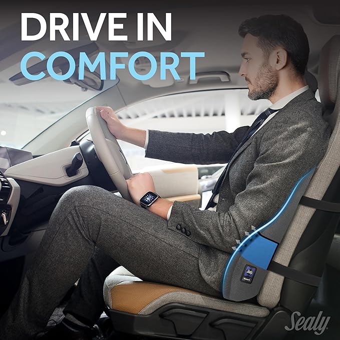 Sealy High Back Memory Foam Lumbar Support Pillow for Office Chair or Gaming Chair, Orthopedic Back Pillow for Car Seat, Gray