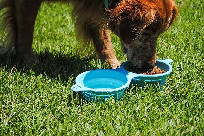 Bark Brite Collapsible Double Dog Bowl Made with Food Grade Silicone