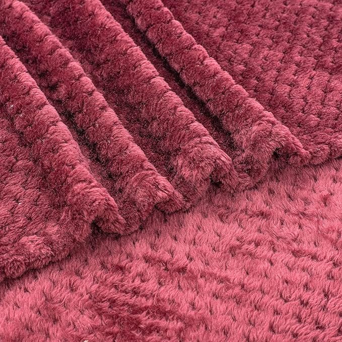 Fuzzy Blanket or Fluffy Blanket for Baby Girl or boy, Soft Warm Cozy Coral Fleece Toddler, Infant or Newborn Receiving Blanket for Crib, Stroller, Travel, Decorative (40”×60”, Coral Red)