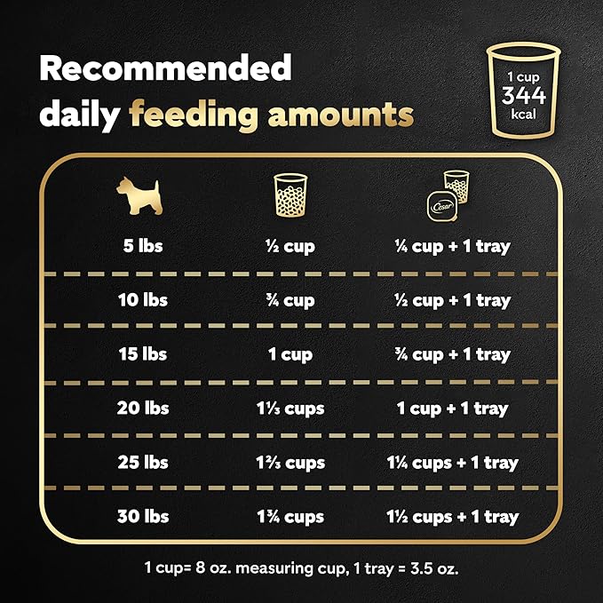 Cesar Small Breed Dry Dog Food for Small Dogs Rotisserie Chicken Flavor and Spring Vegetables Garnish, 2.7 lb Bag