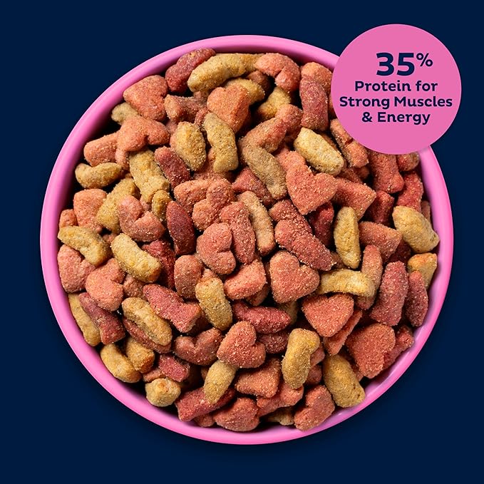 9Lives Plus High Protein Dry Cat Food, 3.15 lb. Bag (Pack of 4)