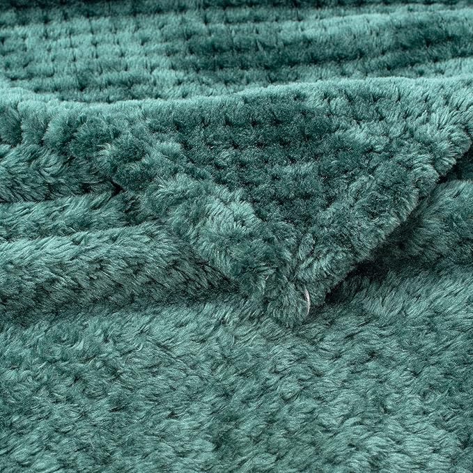 Fuzzy Blanket or Fluffy Blanket for Baby Girl or boy, Soft Warm Cozy Coral Fleece Toddler, Infant or Newborn Receiving Blanket for Crib, Stroller, Travel, Decorative (40”×60”, Black Green)