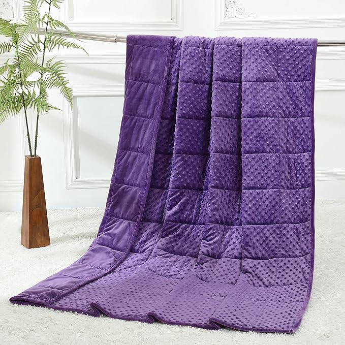 Alomidds Weighted Blanket (60"x80",15lbs Queen Size - Purple), Weighted Blankets for Adults, Breathable Soft and Comfort Minky, Heavy Blanket Microfiber Material with Glass Beads