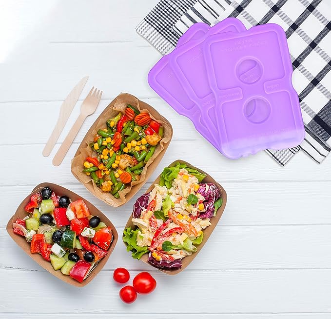 Healthy Packers Reusable Ice Packs for Lunch Boxes - Long Lasting Slim Freezer Packs, Thin Non-Toxic BPA-Free Hard Gel Ice Blocks for Coolers, Kids & Adults Lunch Bags, Travel, Camping, Food Storage