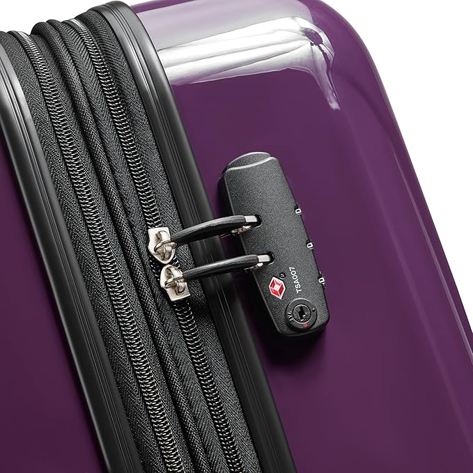 DELSEY PARIS Helium Aero Hardside Expandable Luggage with Spinner Wheels, Plum, 2-Piece Set (21/24)