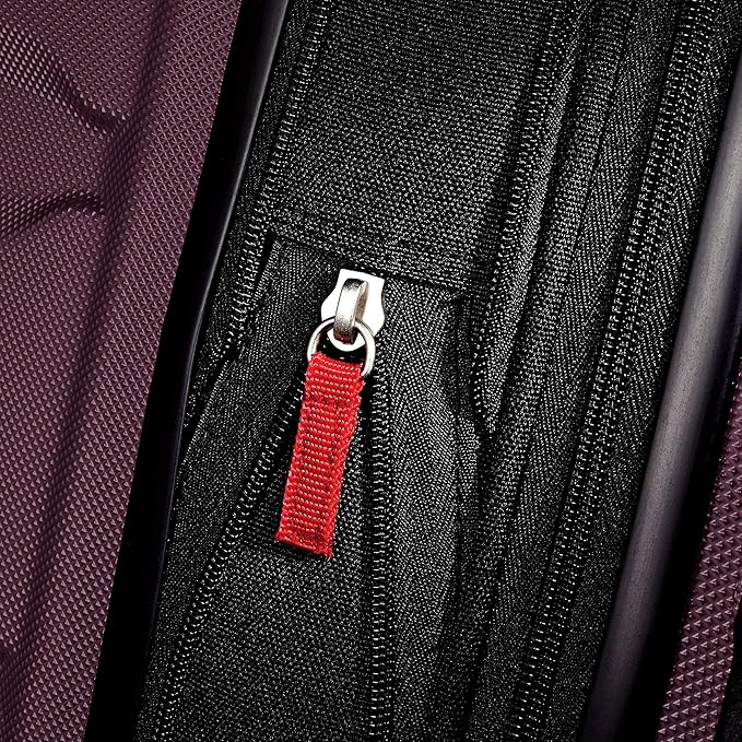 Samsonite Omni PC Hardside Expandable Luggage with Spinner Wheels, Purple, Checked-Medium 24-Inch